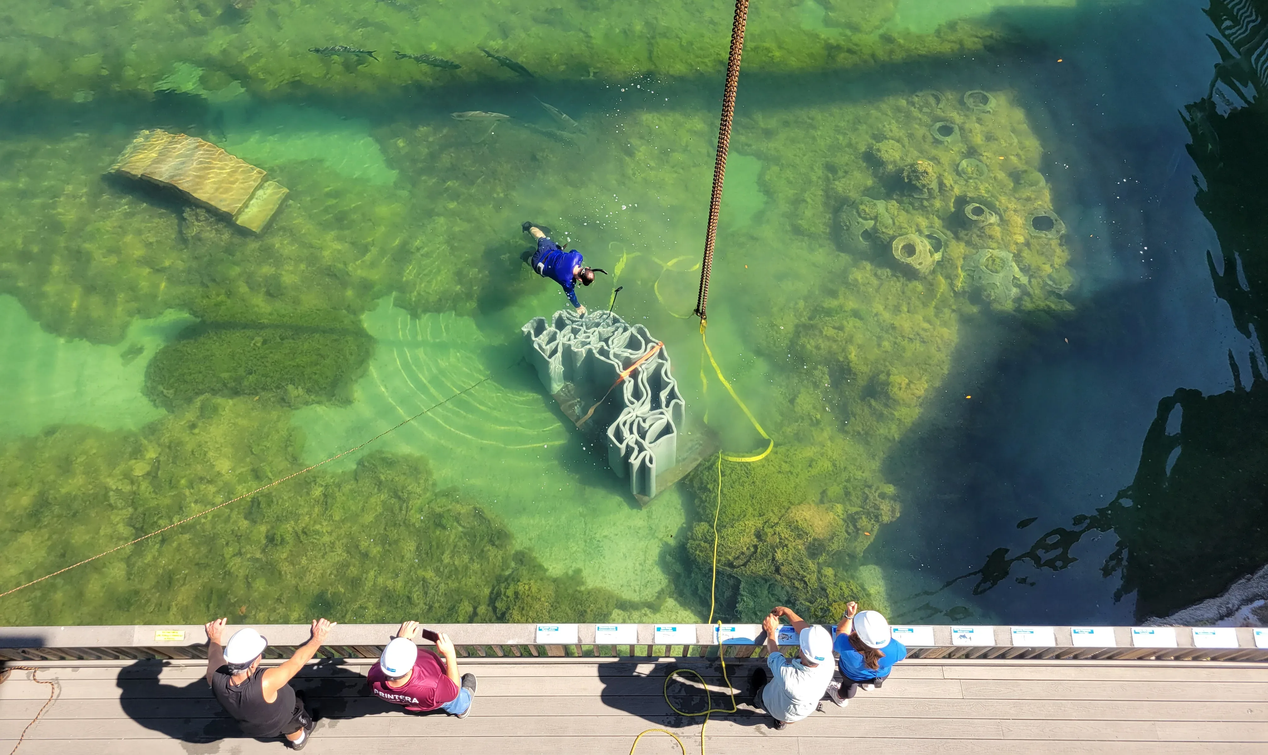 A 3D printed reef partially submerged as it is lowered into the Gamefish Lagoon during installation