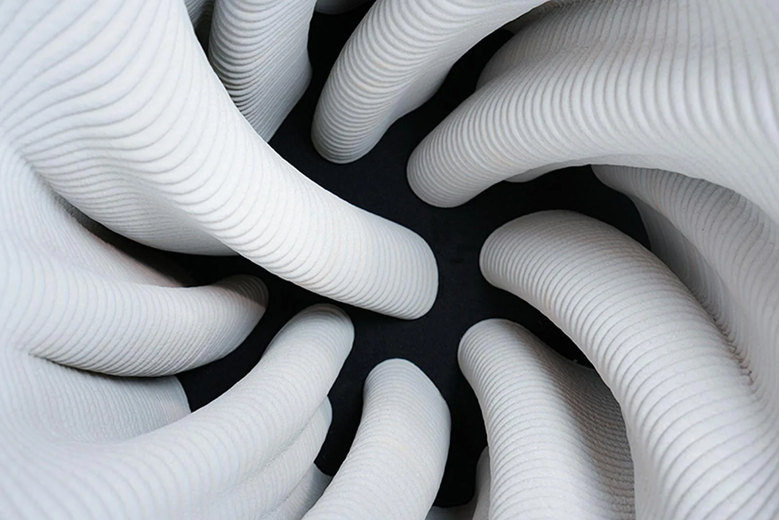 bce017759f0ed3a7e50f08a6bf94356d